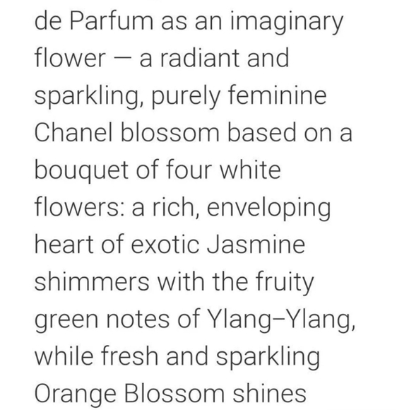 NEW CHANEL Gabrielle Eau de Parfum, 3.4oz - Picture 4 of 5